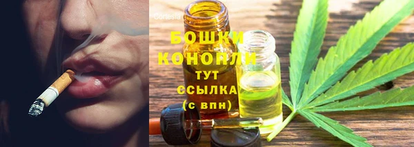стафф Нефтекумск