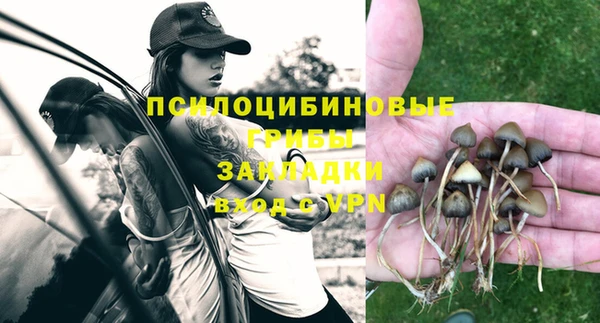 прущие грибы Балабаново