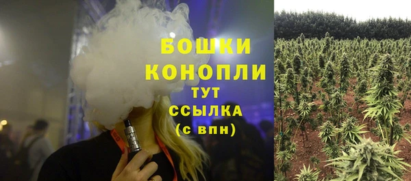 прущие грибы Балабаново