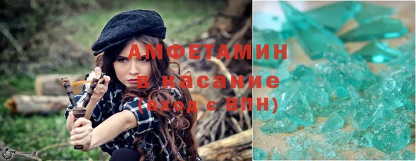 прущие грибы Балабаново