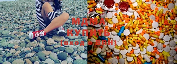 прущие грибы Балабаново