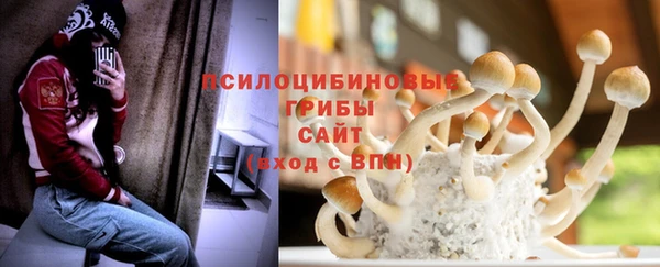 прущие крисы Баксан