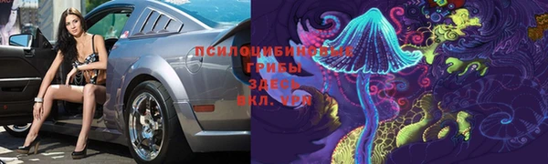 прущие грибы Балабаново